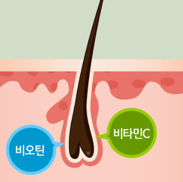 31743744684 - 헤어온의원